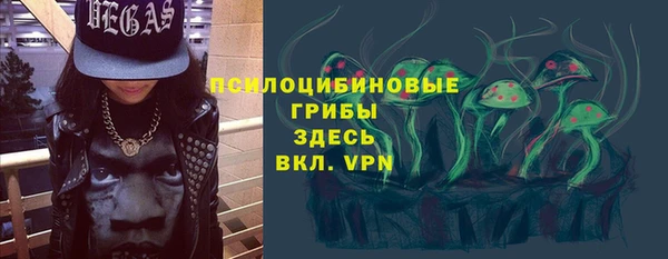 крисы Абдулино