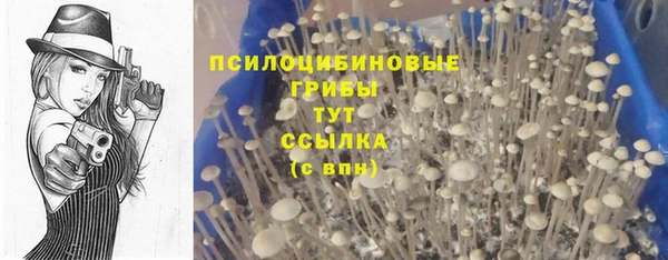 крисы Абдулино
